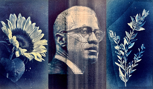 Dionis Ortiz, Cyanotype