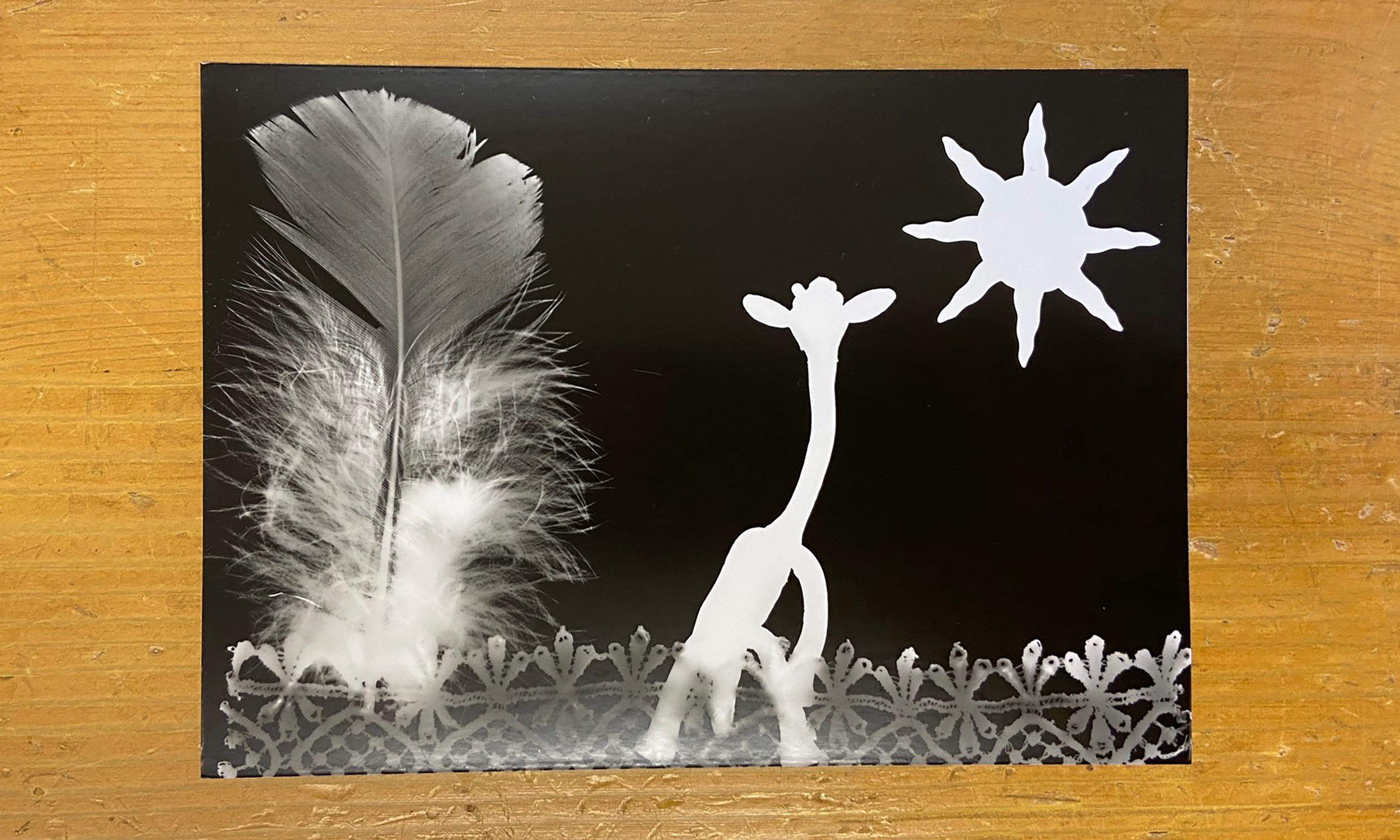 Photograms